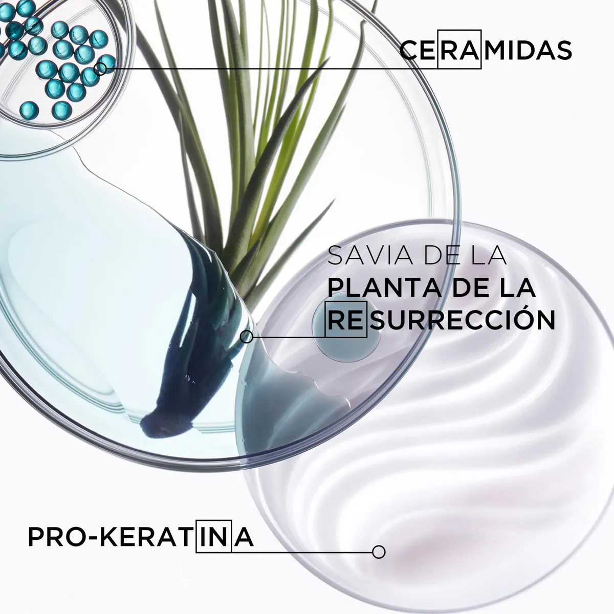 Kérastase Resistance Ciment Anti-Usure Acondicionador Reparador Anti-Quiebre 200ml - Imagen 2