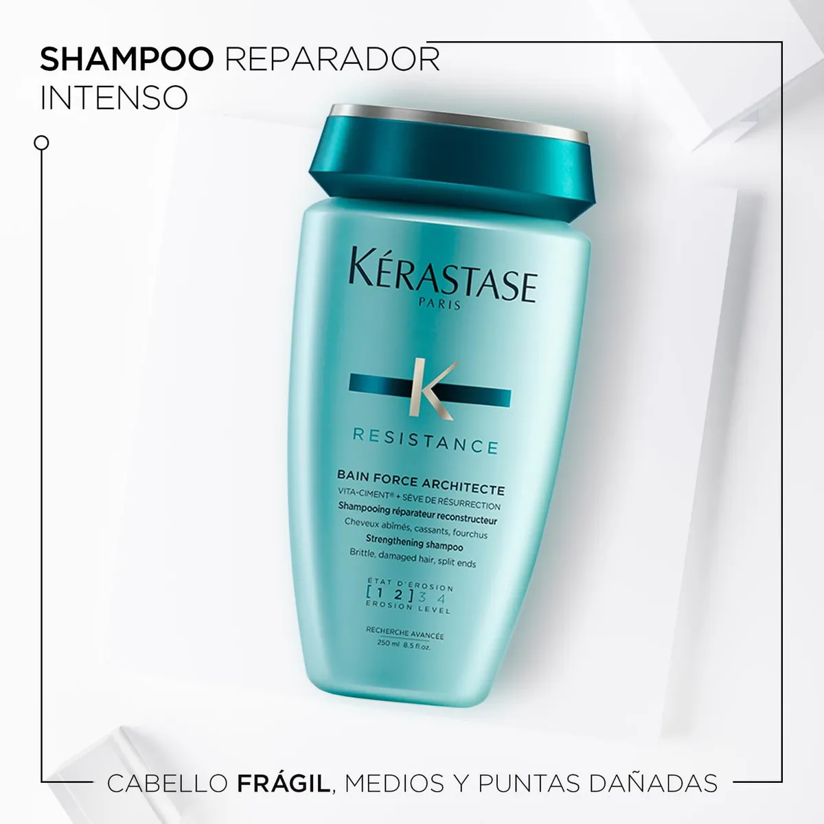 shampoo cabello dañado