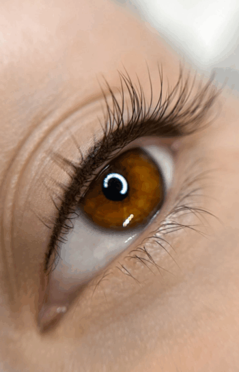 Gift Card Digital – Specchi Lifting Clásico